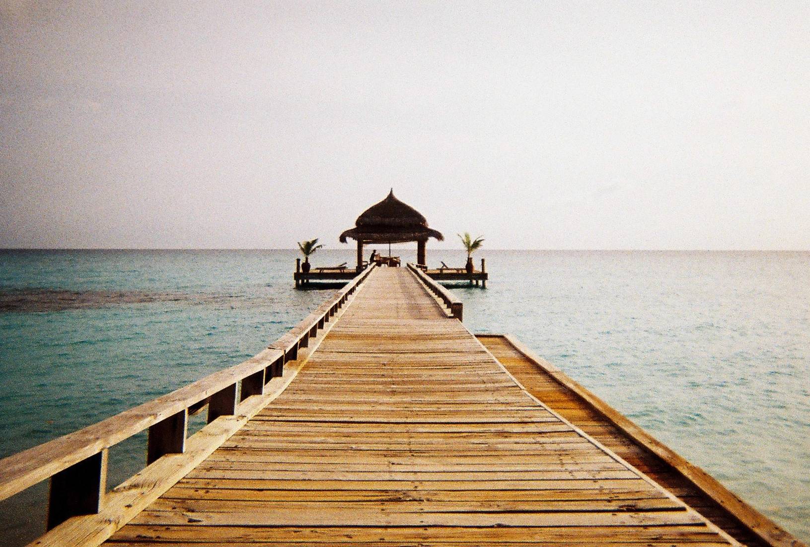 Beachfront Views